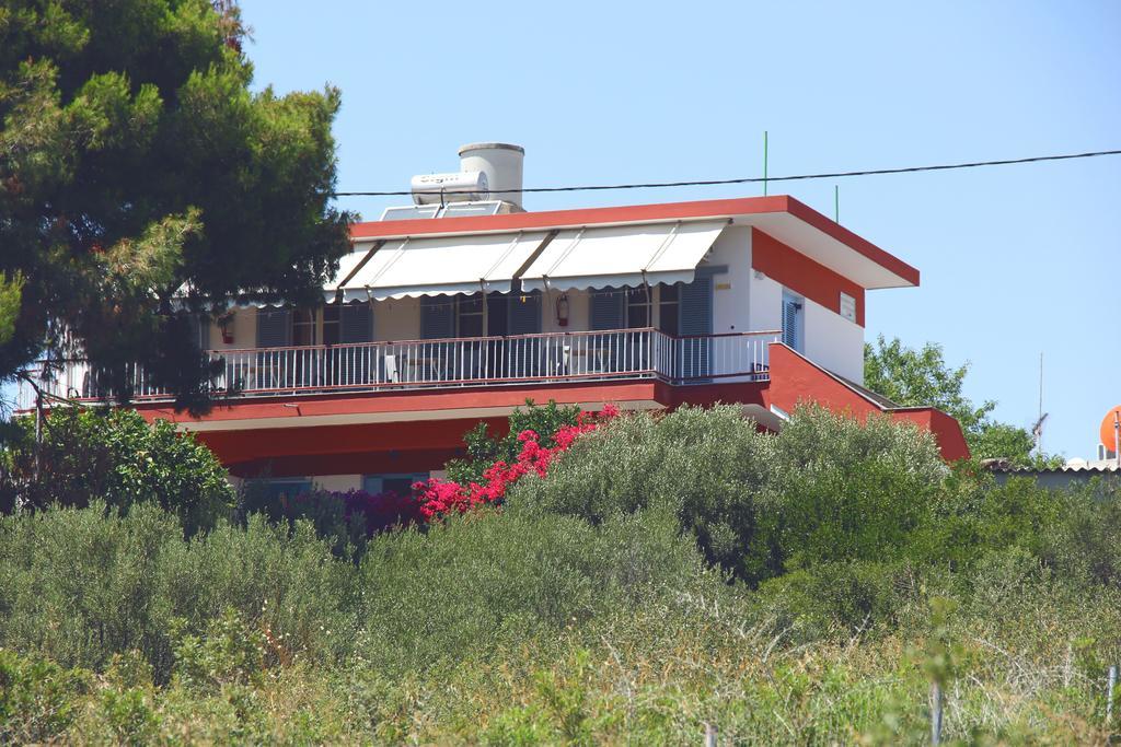 Votsi  Αlexandros Apartment מראה חיצוני תמונה